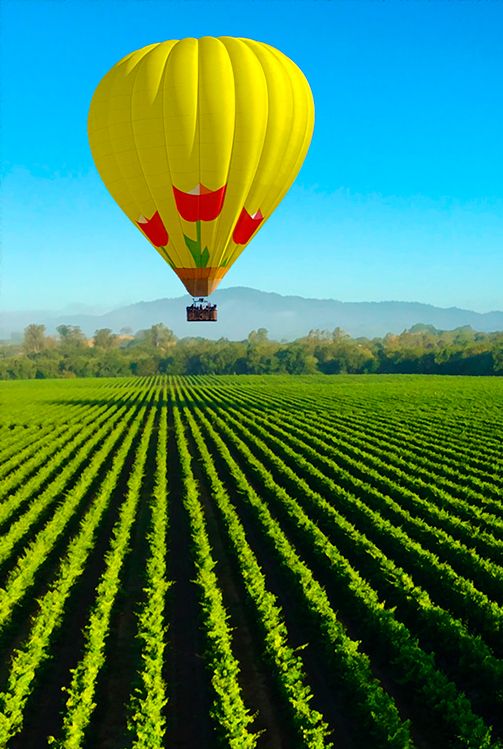 yellow hot air balloon over green vineyard. bright blue sky and mountains in background.