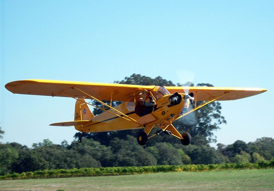 yellow piper cub just taking off against a background of bright blue sky and greenery