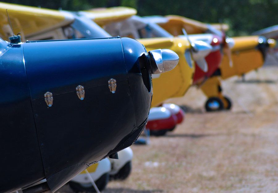 view of the noses of a long row of vintage airplanes
